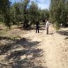 images/Adventures/Spain2013/Sandy and Vic in Olive grove.jpg